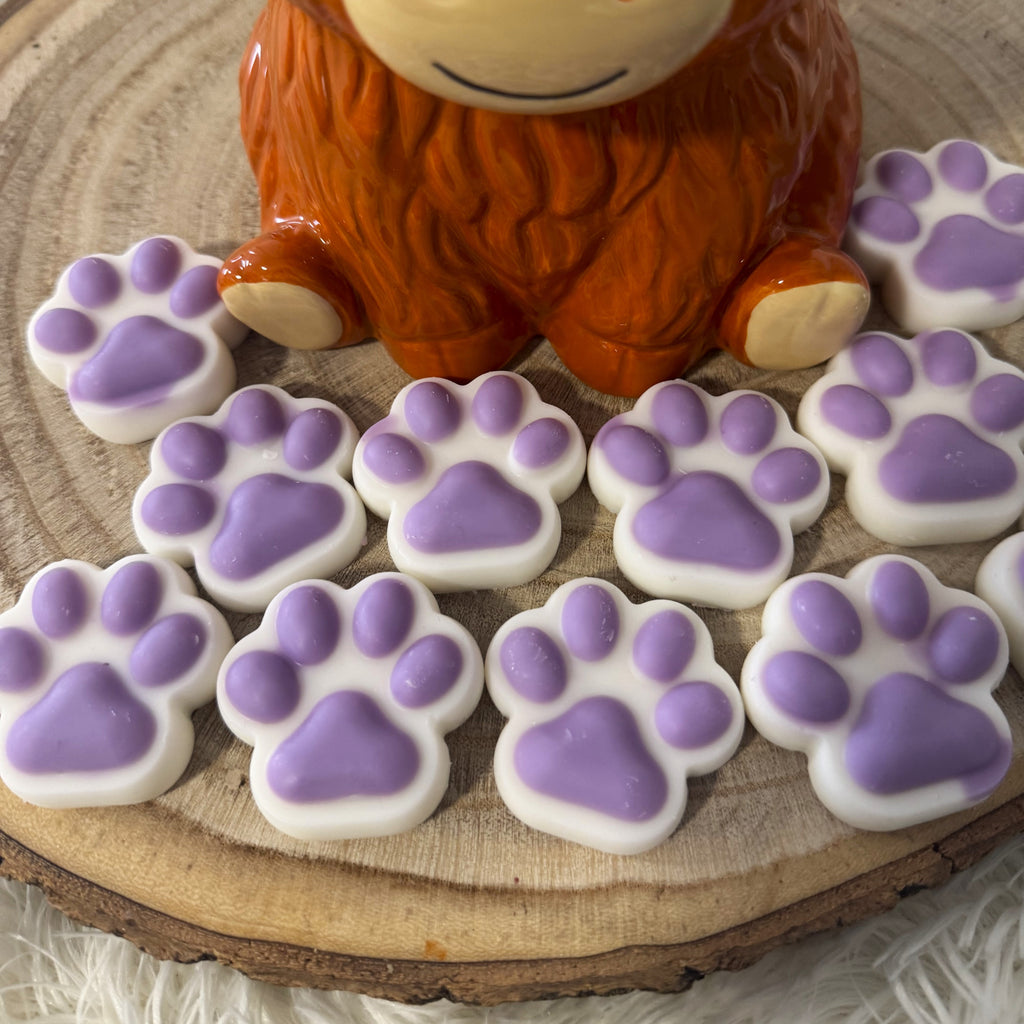 Wax Melts Flor de Violeta