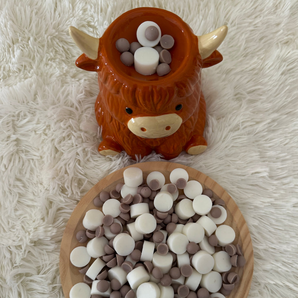 Wax Melts Coco y Cítricos